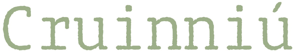 Cruinniu-Meeting Room, Interview Room & Conference Room